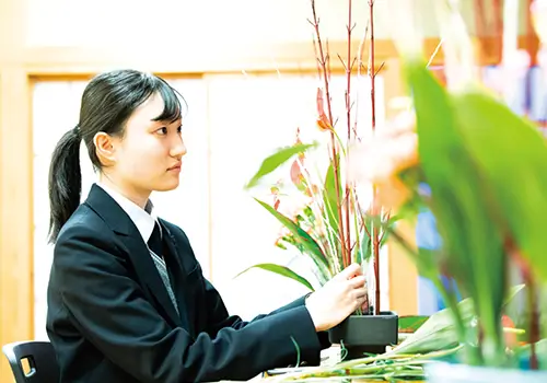 華茶道部