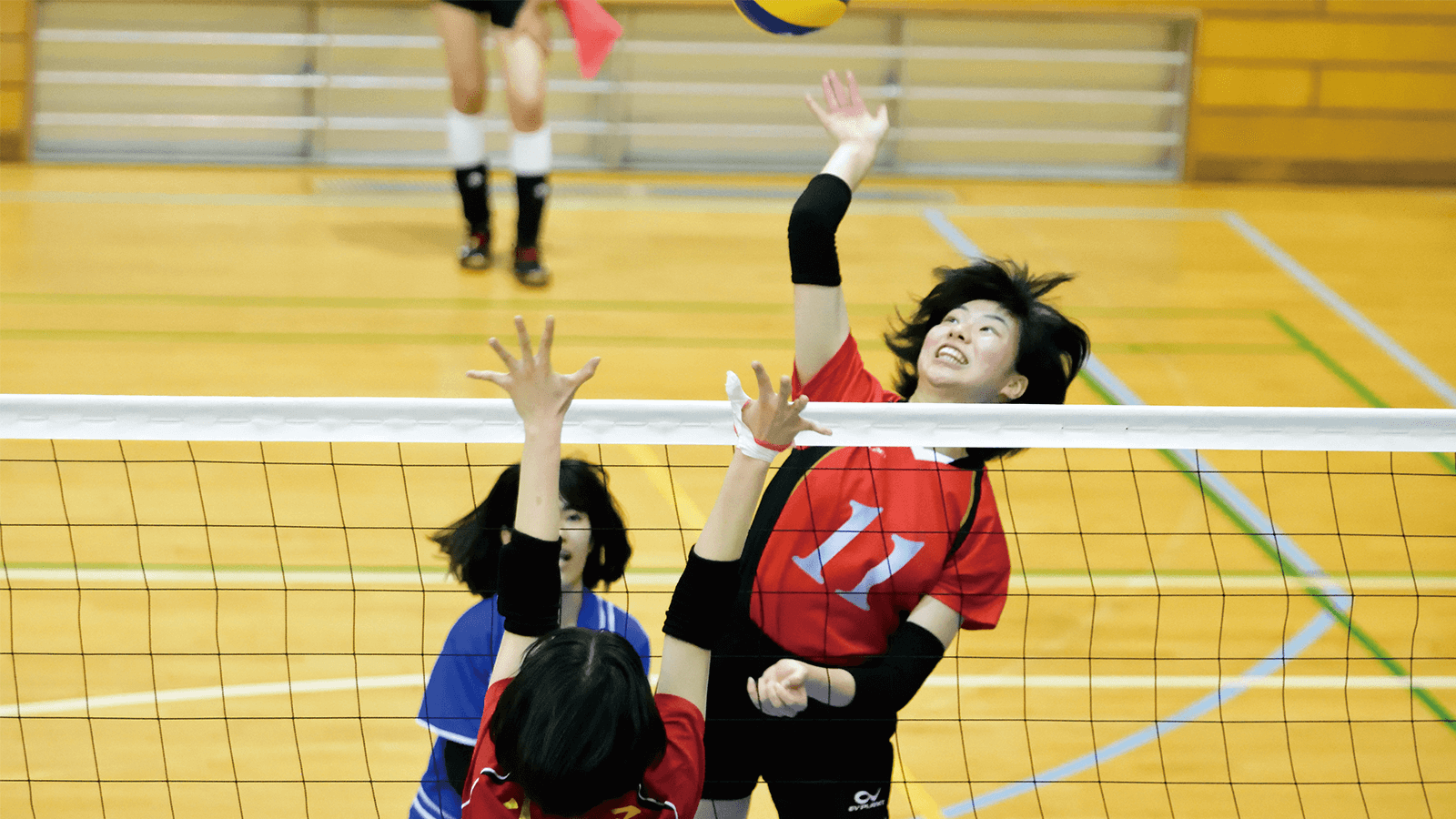 女子バレーボール部 クラブ活動 キャンパスライフ 淑徳巣鴨中学高等学校